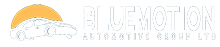 Bluemotion Automotive Group